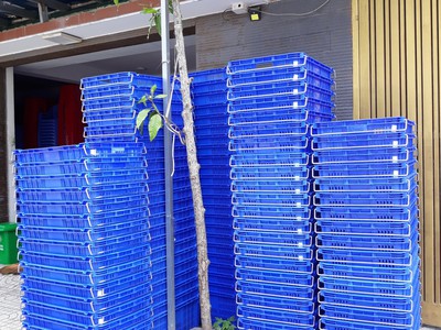 Sóng nhựa có quai sắt chuyên dụng đựng trái cây 0