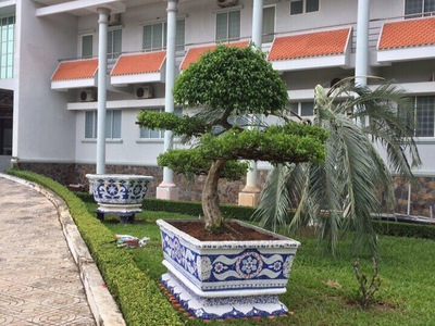 Nghệ nhân dán miễng sành sứ - ốp sành - chuyên chậu hoa - bể cá cảnh 2