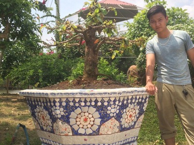 Nghệ nhân dán miễng sành sứ - ốp sành - chuyên chậu hoa - bể cá cảnh 5