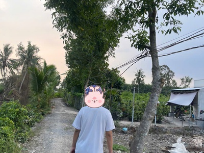 5300m2 đất vườn ấp 10, xã Lương Hòa giá 3,5 tỷ 3