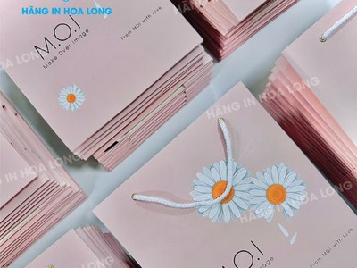 Kinh nghiệm chọn xưởng in túi giấy giá rẻ Hà Nội không nên bỏ qua 0