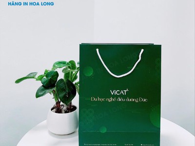 Kinh nghiệm chọn xưởng in túi giấy giá rẻ Hà Nội không nên bỏ qua 2