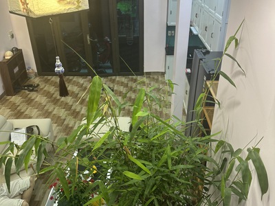 Bung nóc vương thừa vũ  mặt phố vip   vỉa hè khủng   giá gây sốc giới đầu tư 4