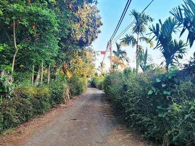 Cơ hội đầu tư   ngay lô đất 1.3ha giá chỉ 650 triệu/sào  cuôr đăng giáp hòa thuận-buôn mathuột - 2
