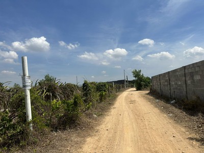 Đất biển lagi 1069m2 tân tiến, thị xã lagi gần biển tam tân giá ngộp 3