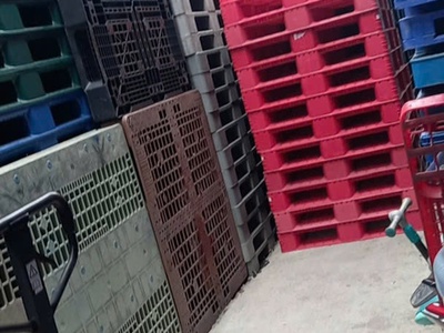Đại lý cung cấp pallet nhựa uy tín tại Đồng Xoài 4