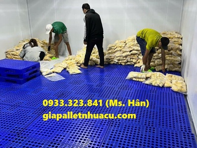 Đại lý cung cấp pallet nhựa uy tín tại Đồng Xoài 7