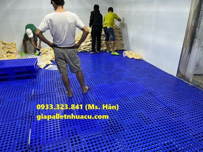 Đại lý cung cấp pallet nhựa uy tín tại Đồng Xoài 8