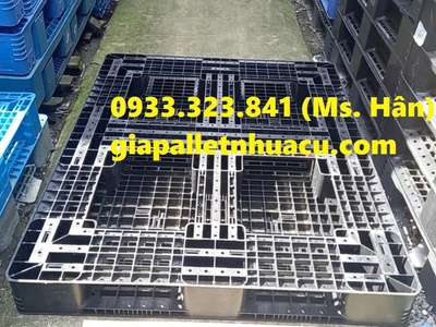 Đại lý cung cấp pallet nhựa uy tín tại Đồng Xoài 9