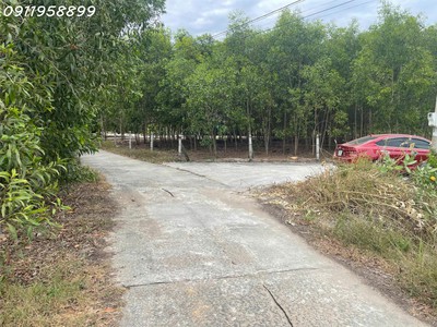 Bán 1912m2 đất ont tân phước - tx lagi cách biển 500m chính chủ 3