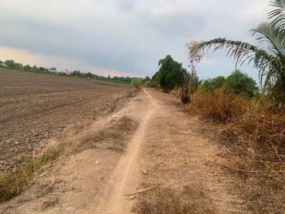 5585m2 đất vườn xã Lương Hòa, huyện Bến Lức giá 4,6 tỷ 1