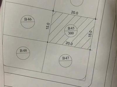Đất phân lô biệt thự sao đỏ - 300m - giá 40tr/m - gần ngay cầu rào 4