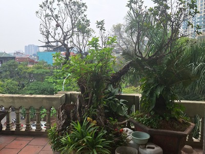 Nhà mặt phố Ngọc Thụy-sổ phân lô-ô chờ thang Máy-kinh doanh-105M 14xTỶ-tiện ích miễn bàn 1