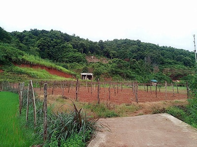 Bán 5.445m  đất mộc châu, mặt tiền 200m, gần thác dải yếm, view đẹp giá tốt 0