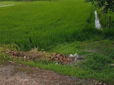 Đất mặt tiền đẹp - đầu tư sinh lời - chủ cần bán nhanh đất 1