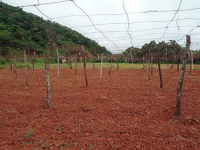 Bán 5.445m  đất mộc châu, mặt tiền 200m, gần thác dải yếm, view đẹp giá tốt 1
