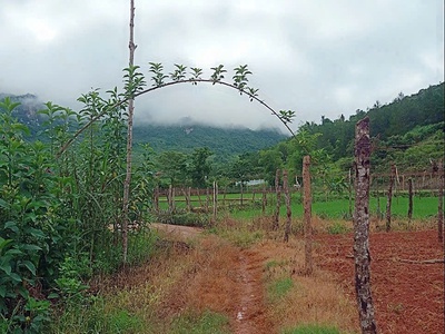 Bán 5.445m  đất mộc châu, mặt tiền 200m, gần thác dải yếm, view đẹp giá tốt 3
