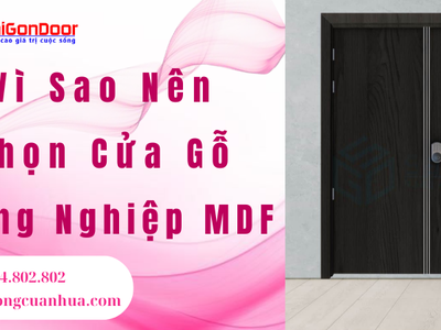 Vì Sao Nên Chọn Cửa Gỗ Công Nghiệp MDF 1