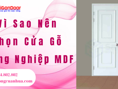 Vì Sao Nên Chọn Cửa Gỗ Công Nghiệp MDF 2