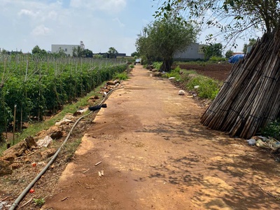 Bán 380,4m2 tổ 34 đường lê hồng phong nối dài - thị trấn liên nghĩa -đức trọng -lâm đồng 2