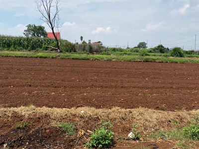 Bán 380,4m2 tổ 34 đường lê hồng phong nối dài - thị trấn liên nghĩa -đức trọng -lâm đồng 3