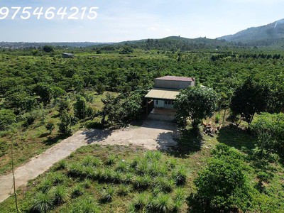 Bán gấp 1500m  đất đẹp   đường đinh công tráng, xã lộc châu, tp. bảo lộc   giá chỉ 1 tỷ 650 triệu 2