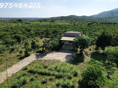 Bán gấp 1500m  đất đẹp   đường đinh công tráng, xã lộc châu, tp. bảo lộc   giá chỉ 1 tỷ 650 triệu 0