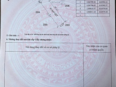 Bán 2 Lô Đất Thổ Cư Liền Kề Đường Nguyễn Du Dĩ An Vị Trí Đẹp 4
