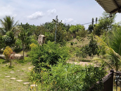 Bán đất Lộc Nam, Bảo Lâm 100mtc sẵn sổ 0