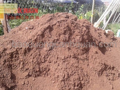 Cung cấp đất màu, đất đỏ bazan trồng cây ở Đồng Nai, Long An, HCM 0