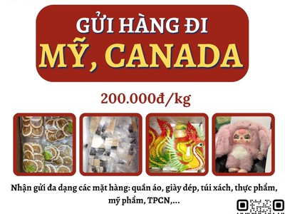 Gửi hàng đi USA, Canada - Tiến Việt Express 0