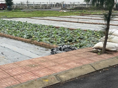 Bán đất nền ven biển quất lâm sẵn sổ full cư 3