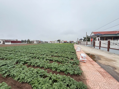 Bán đất nền ven biển quất lâm sẵn sổ full cư 0