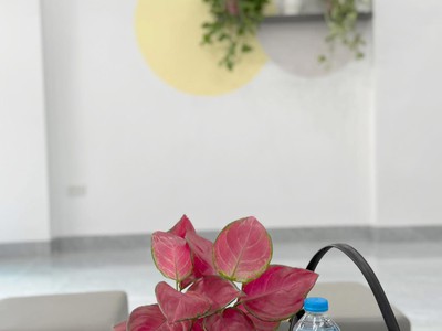 Bán nhà 3 tầng ngõ 20 đường Ngô Quyền, ph Thanh Bình, TP HD, 51m2, 3 ngủ, 3 vs, 2.8x tỷ 6
