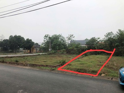 Bán đất tại cẩm trạch, đạo tú, tam dương, vĩnh phúc. giá chỉ 670 triệu...