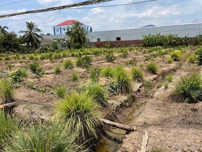 2700m2 đất lúa ấp 10, xã Lương Hòa, huyện Bến Lức giá 6,3 tỷ 4