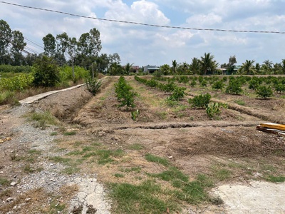 2700m2 đất lúa ấp 10, xã Lương Hòa, huyện Bến Lức giá 6,3 tỷ 5