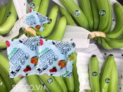 Gói hút khí Ethylene 5g cho chuối xuất khẩu 0