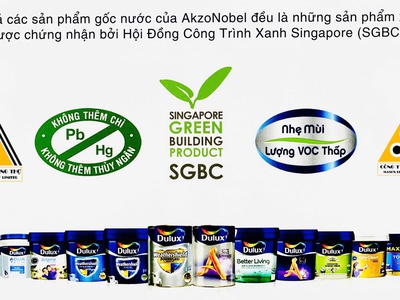 Dulux - Danh mục sản phẩm được thiết kế theo nhu cầu người tiêu dùng 0