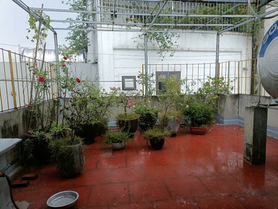 Chính chủ bán nhà 5 tầng tại ngõ 11 việt hưng ngay cạnh vinhome riverside 4