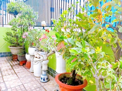 Bán nhà mới đất thánh, quận tân bình, dài 5.4 x ngang 8.5m, giá chỉ 7.05 tỷ 3