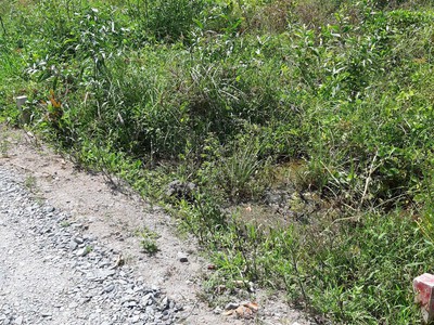 Em chính chủ bán gấp 105 m2 full thổ cư 2 mặt tiền đường xe hơi 4m và mặt sau 2m. thông nhiều hướng 4