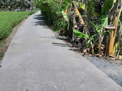 Em chính chủ bán gấp 105 m2 full thổ cư 2 mặt tiền đường xe hơi 4m và mặt sau 2m. thông nhiều hướng 0