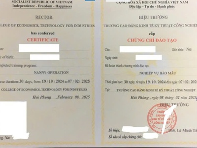 Tuyển Sinh Khóa Học Bảo Mẫu Có Cấp Chứng Chỉ   Đảm Bảo Việc Làm 0