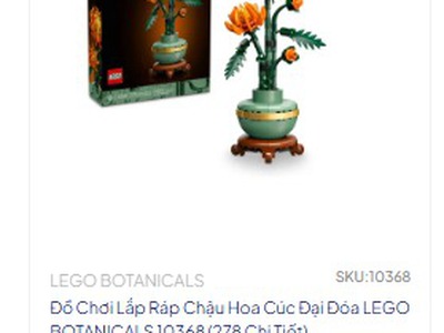 Bó Hoa Không Tàn, Tình Yêu Không Phai Dành Cho Mẹ Yêu 2