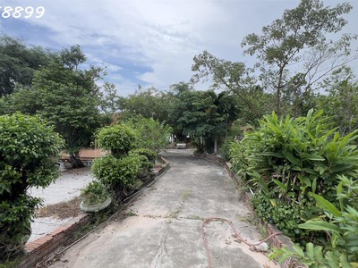 Bán 2537m2 đất thổ cư lý thường kiệt, thị xã lagi giá ngộp 3.35tr/m2 4