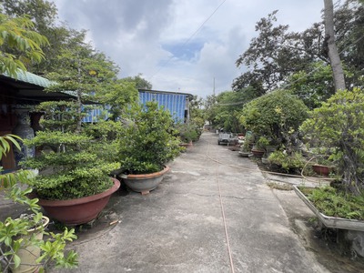 Bán 2537m2 đất thổ cư lý thường kiệt, thị xã lagi giá ngộp 3.35tr/m2 0