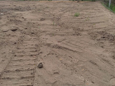 Cần nhanh bán lô đất mặt tiền dường nhựa xã tân nghĩa, huyện cao lãnh, tỉnh đồng tháp . 3