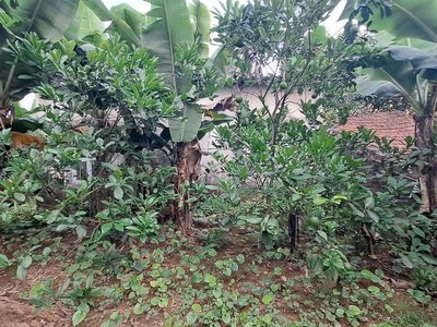 Bán 150m đất hạ trại thống nhất long biên mt 9m , oto ,kd,giá 12,5 ty . 2