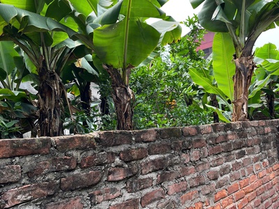 Bán 150m đất hạ trại thống nhất long biên mt 9m , oto ,kd,giá 12,5 ty . 1